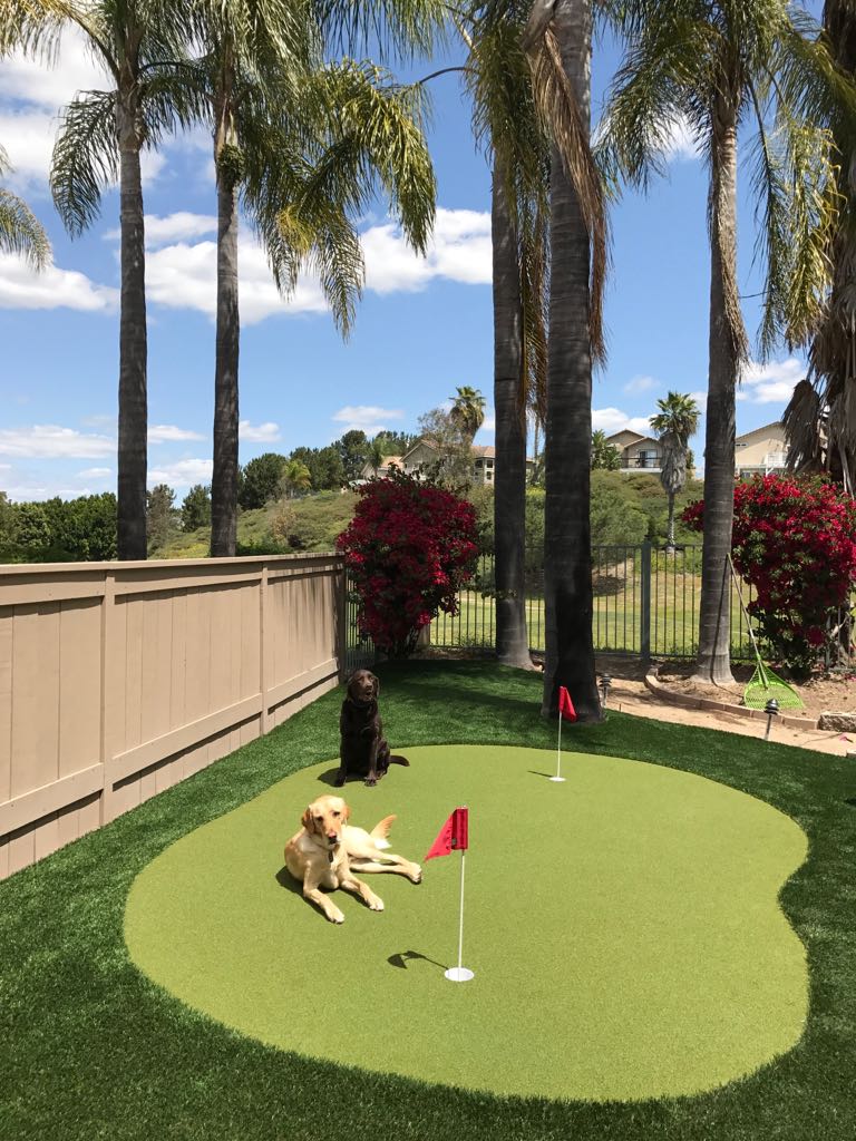 Putting green artificial turf