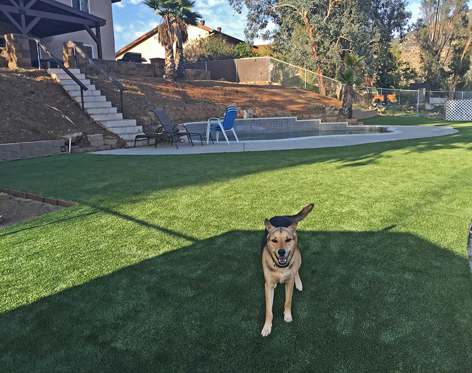 Pet Turf, Artificial Grass