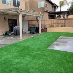 Backyard transformation