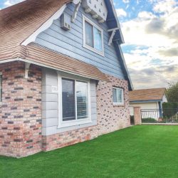 Always Green, Artificial Turf