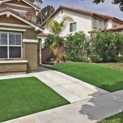 Facade with artificial grass