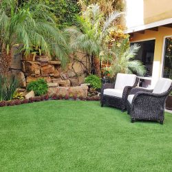 Beautiful Backyard
